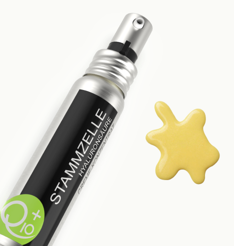 STAMMZELLE -10%